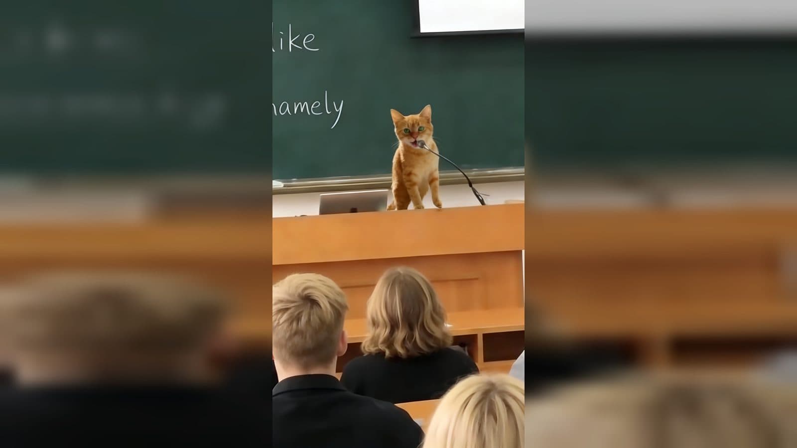 Pet Lecturer Video from Photo