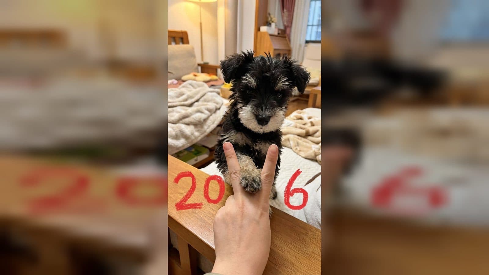 AI 2026 Pet Photo Generator for a New Year Snapshot