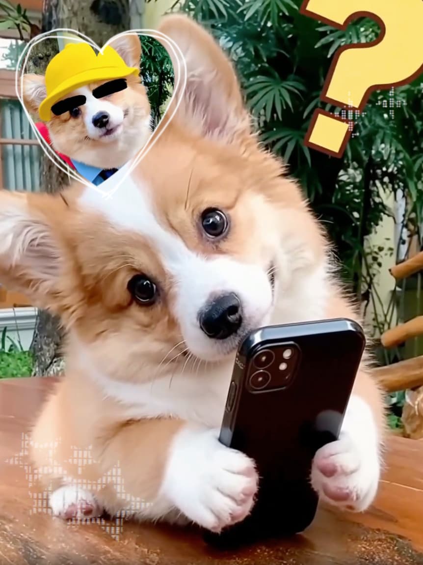 私天才じゃないの? Video From Photo